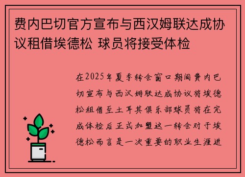 费内巴切官方宣布与西汉姆联达成协议租借埃德松 球员将接受体检 费内巴切官方宣布与西汉姆联达成协议租借埃德松 球员将接受体检